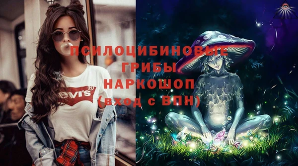 стафф Липки