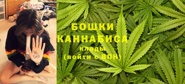 стафф Липки