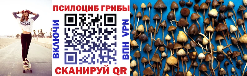 где купить   Новочеркасск  Псилоцибиновые грибы ЛСД 