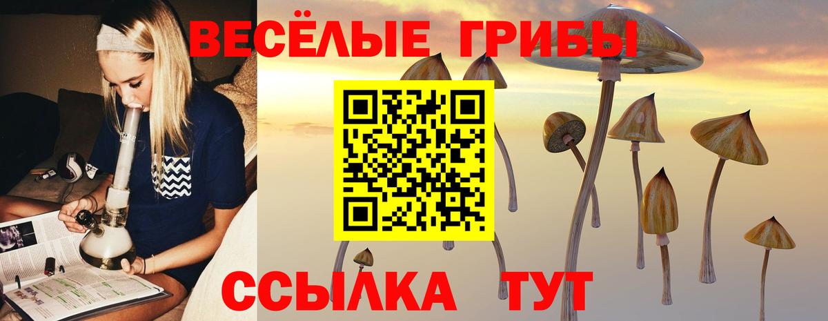 Псилоцибиновые грибы GOLDEN TEACHER  Вход с VPN  Новочеркасск 